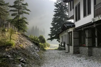 a foggy street next to a building and trees at Family Hotel Arkan Han in Trigrad