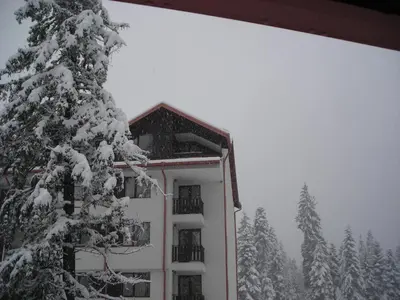 a snow covered building with a snow covered tree at Borovets Gardens Chalet Flat in Borovets