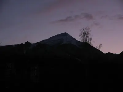 a silhouette of a mountain with a tree on it at Mountain View Resort Studio in Bansko