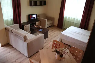 a small living room with a couch and a tv at Nevada Aparthotel in Pamporovo