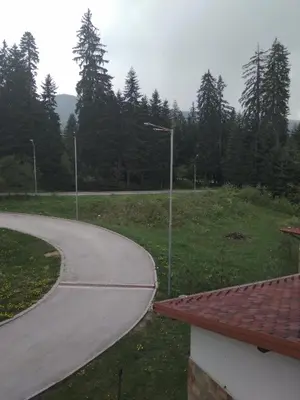 a winding road next to a field with trees at Apartment in Borovets Gardens C17 in Borovets