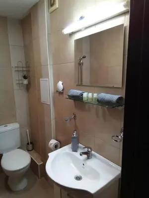 a bathroom with a sink and a toilet and a mirror at Apartment 46 in Sofia
