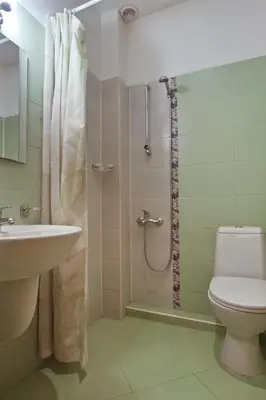 a bathroom with a shower and a toilet and a sink at Anita House in Perushtitsa