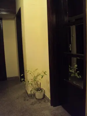a plant sitting in a room next to a door at Top Place in Downtown in Sofia