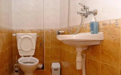 a bathroom with a toilet and a sink at Damianka Guest House in Bansko