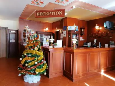 a christmas tree in the lobby of a liquor store at Elina Hotel in Pamporovo