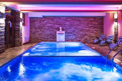 a swimming pool in a room with a brick wall at Elina Hotel in Pamporovo