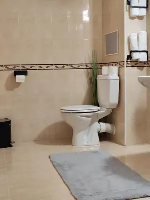 a bathroom with a toilet and a sink at Monastery 2 Aparthotel in Pamporovo