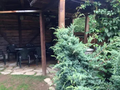 a garden with a table and chairs and a tree at The Lake Villa in Smolyan