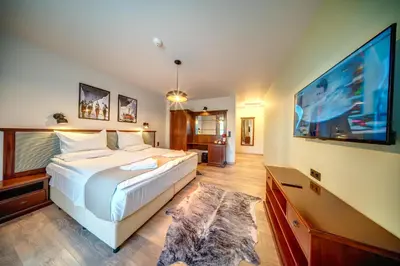 a bedroom with a large bed and a flat screen tv at Mountain Lake Hotel in Smolyan