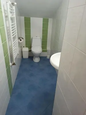 a bathroom with a toilet and a sink at Guest House Ganovi in Kalofer