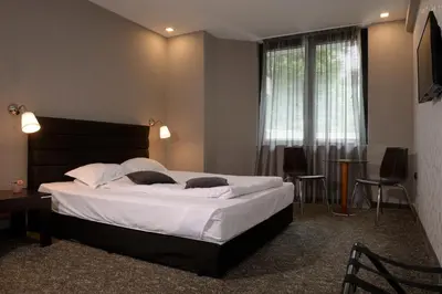 a bedroom with a large bed and a window at St. George Hotel in Sofia