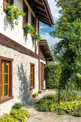 an exterior view of a house with windows and plants at Chalet White Fang in Bansko