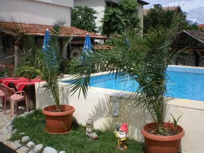 two palm trees in pots next to a swimming pool at Старата Тонина къща in Dobrinishte