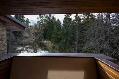 a balcony with a large window looking out into the woods at Borovets Chalets in Borovets