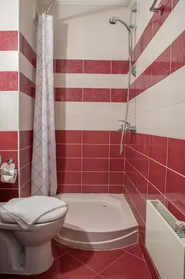a red and white bathroom with a toilet and a shower at Apartments in Complex Grand Manastira in Pamporovo