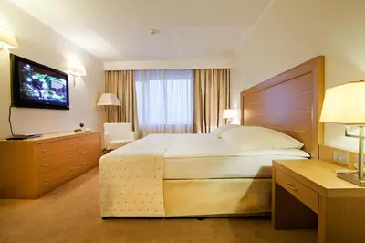 a hotel room with a large bed and a television at Hotel Marinela Sofia in Sofia