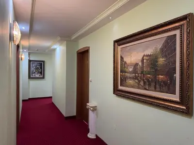 a painting hanging on a wall in a hallway at Hotel Dafi in Plovdiv