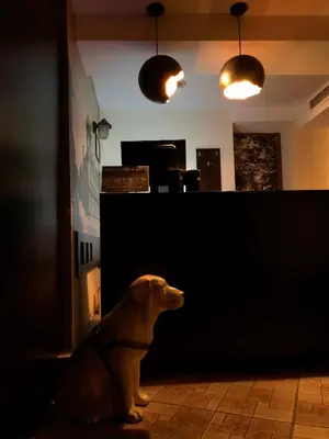 a dog sitting in front of a counter in a room at DITER Family Hotel in Sofia