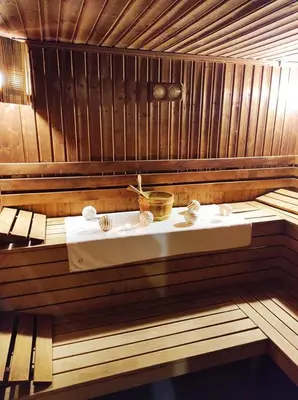 a saunaificialificialificialificialificialificialificialificialificialificialificialificialificial at Troyan Plaza Hotel in Troyan