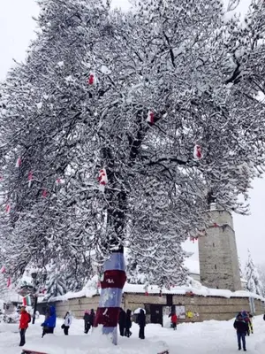 a christmas tree with christmas ornaments on it at Fortuna Luxury Apartment in Bansko