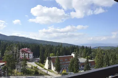a view of a town with trees and buildings at Hotel Samokov in Borovets