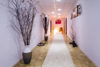 a hallway with three vases on the walls and a hallway with plants at Hotel Samokov in Borovets