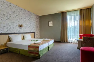 a hotel room with a bed and a window at Alliance Hotel in Plovdiv
