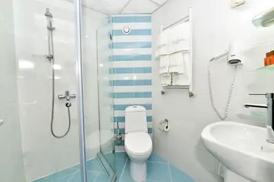 a bathroom with a shower and a toilet and a sink at Art Plaza Hotel in Sofia