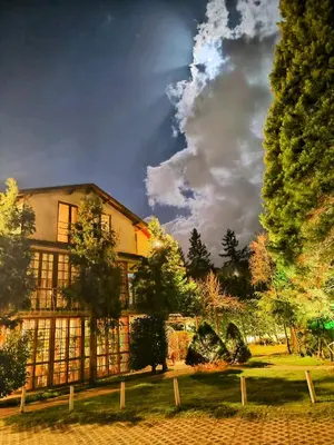 a large building with trees in front of it at Park Hotel Amfora -Free Parking in Sofia