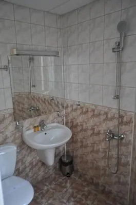 a bathroom with a sink and a shower and a toilet at Family Hotel Bansko Sofia in Sofia