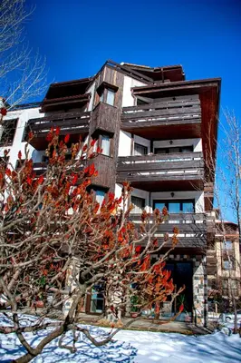 a tall building with a tree in front of it at Hotel Orphey in Bansko