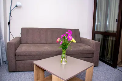 a vase of flowers on a table in front of a couch at Hotel Orphey in Bansko