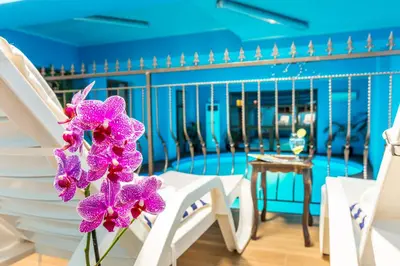 a vase of purple orchids sitting next to a chair at Chateau Montagne Hotel Troyan in Troyan