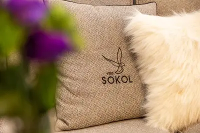a pillow with the sool written on it next to a white feather at Villa Sokol in Borovets
