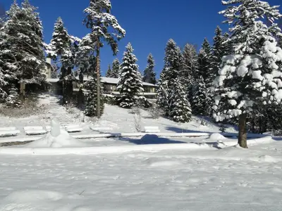 a snow covered yard with trees and a building at Villa Sokol in Borovets