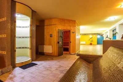 a bathroom with a shower and a sink in a room at The Stream Resort Pamporovo in Pamporovo