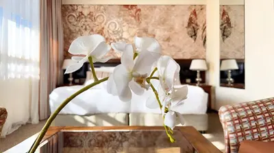 a table with white flowers in a hotel room at Platinum Hotel and Casino Bansko in Bansko
