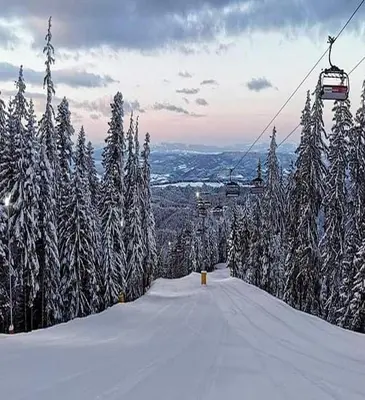 a ski lift with snow covered trees on a mountain at Royal Plaza Apartments Borovets in Borovets