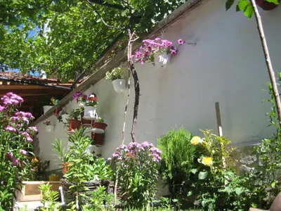 a garden with flowers and plants at Aseva House Guest house in Bansko