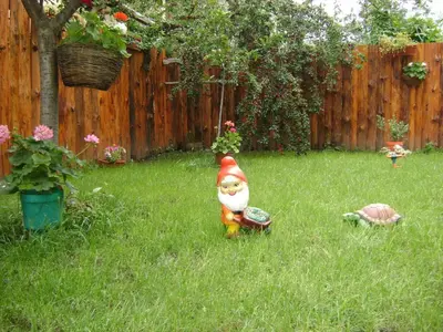 a toy dog in the grass in a yard at Michel Hotel in Bansko