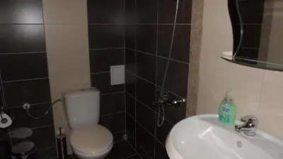 a bathroom with a toilet and a sink at Villa Filip in Bachevo