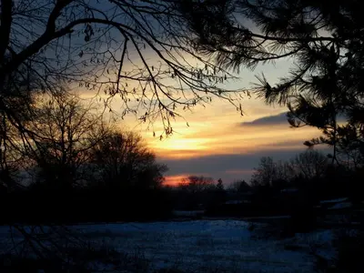 a sunset in a field with snow and trees at Lavender Lodge in Rupkite