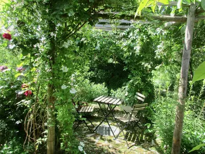 a garden with a bench and roses at Lavender Lodge in Rupkite