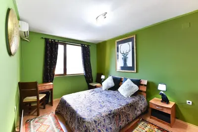 a bedroom with green walls and a bed and a desk at Gondola Flat Number 2 in Bansko
