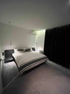 a bedroom with a large bed and a television at Lozenets Executive Apartment with Private Parking in Sofia