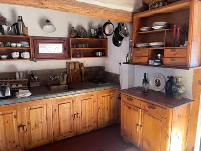 a kitchen with wooden cabinets and a sink at Das Landhaus in Bachevo