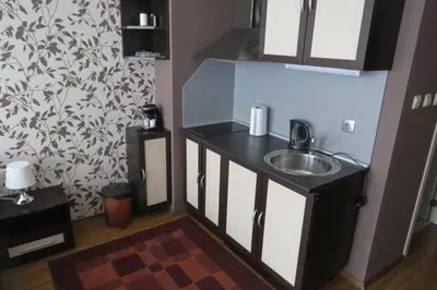 a small kitchen with a sink in a room at Snowdrop Studio in Borovets