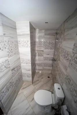 a bathroom with a toilet and a shower at Banya Guest Rooms 23 in Banya