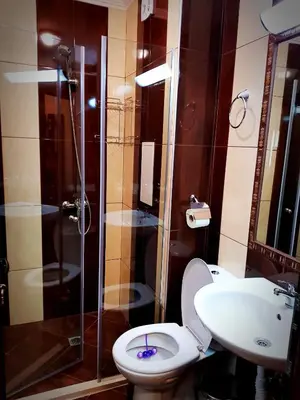 a bathroom with a toilet and a shower and a sink at Best Guest Apartments in Plovdiv